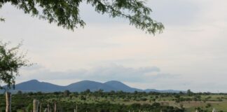 Bağkur Emeklilik Hesaplama Aracı Nasıl Kullanılır? Kolay Rehber