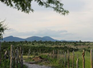 Bağkur Emeklilik Hesaplama Aracı Nasıl Kullanılır? Kolay Rehber