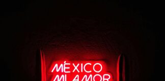 Bağkur Sigortası Dondurulabilir Mi? Şaşırtıcı Gerçekler!