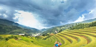 Bağkur’da Kısmi Emeklilik Mümkün Mü? Şaşırtan Detaylar!