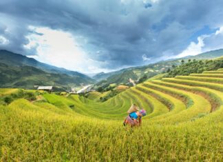 Bağkur’da Kısmi Emeklilik Mümkün Mü? Şaşırtan Detaylar!