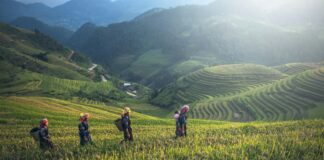 Emeklilik İçin Bağkur Hizmeti Sildirme Mümkün Mü? Kesin Cevap!
