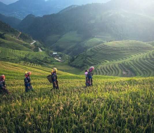Emeklilik İçin Bağkur Hizmeti Sildirme Mümkün Mü? Kesin Cevap!