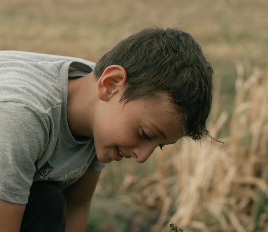 Zorunlu Bağkur Nedir? Kimleri Kapsar? Merak Edilenleri Keşfedin