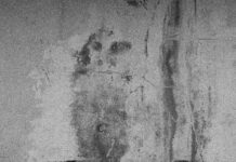 Bağkur Emeklisi E-Devlet’ten Hangi İşlemleri Yapabilir? Merak Edilenler!