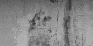 Bağkur Emeklisi E-Devlet’ten Hangi İşlemleri Yapabilir? Merak Edilenler!