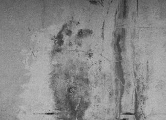 Bağkur Emeklisi E-Devlet’ten Hangi İşlemleri Yapabilir? Merak Edilenler!