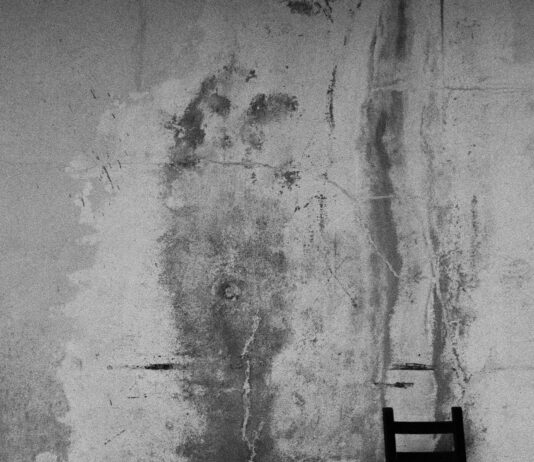 Bağkur Emeklisi E-Devlet’ten Hangi İşlemleri Yapabilir? Merak Edilenler!